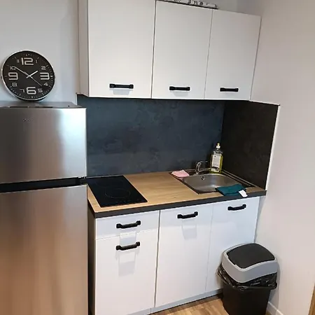 Appartement Confortable Style Roubaix