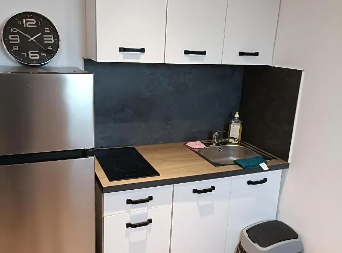 Appartement Confortable Style Roubaix